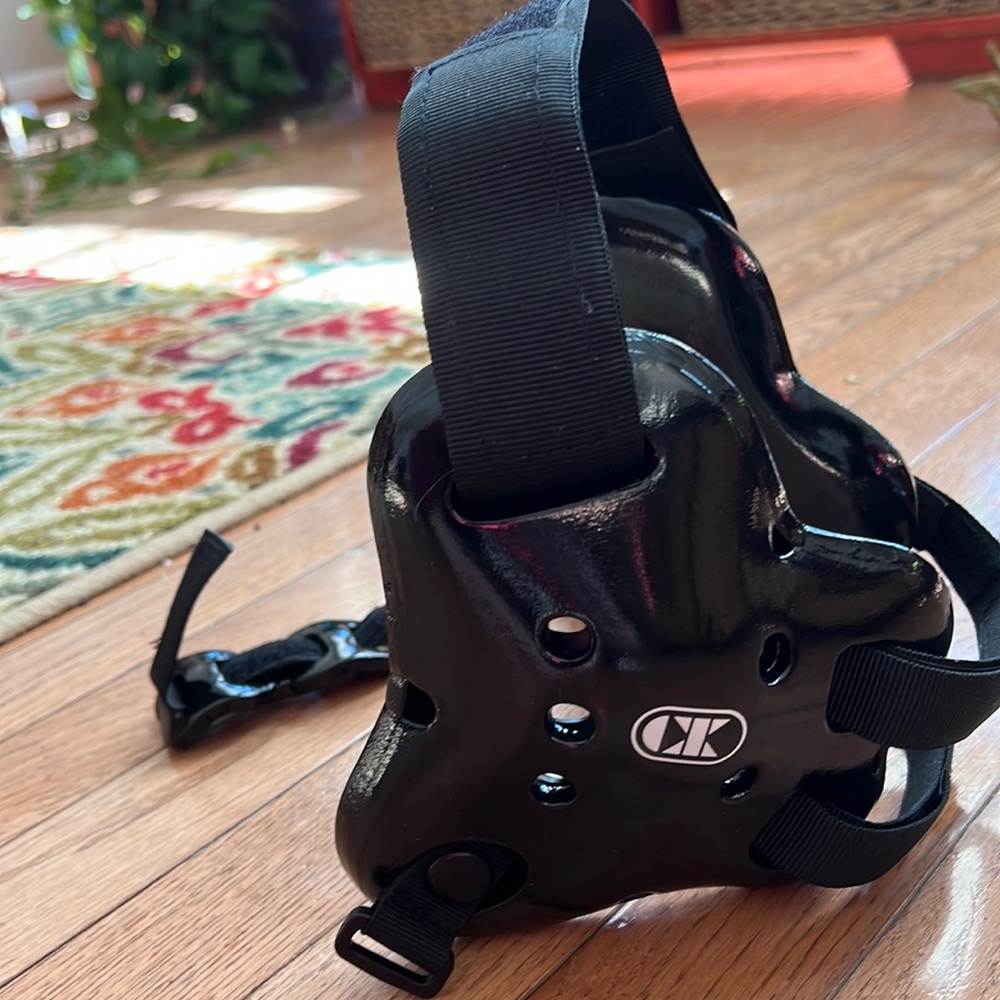 Wrestling headgear